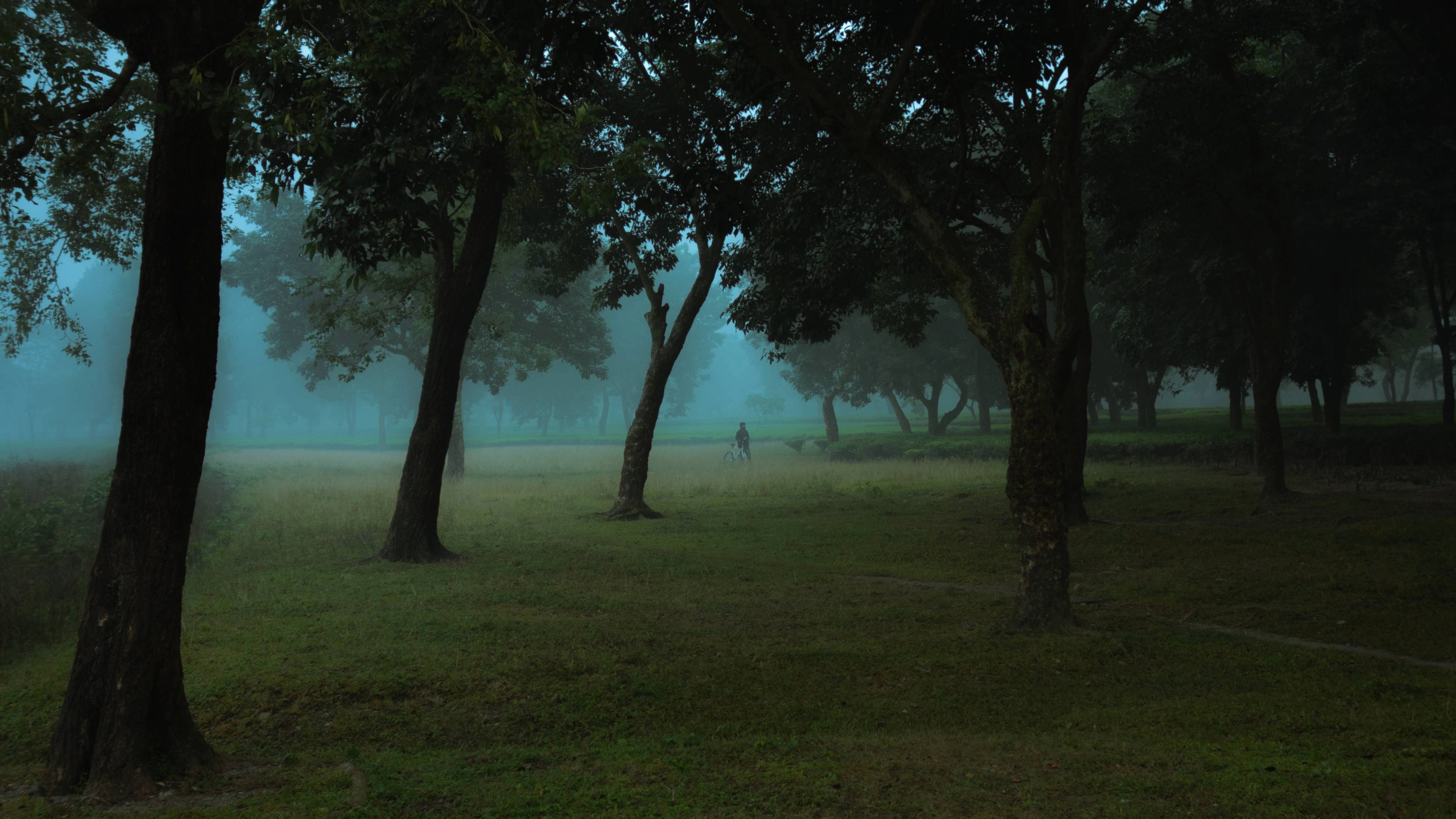 Saltwater Series Image 12